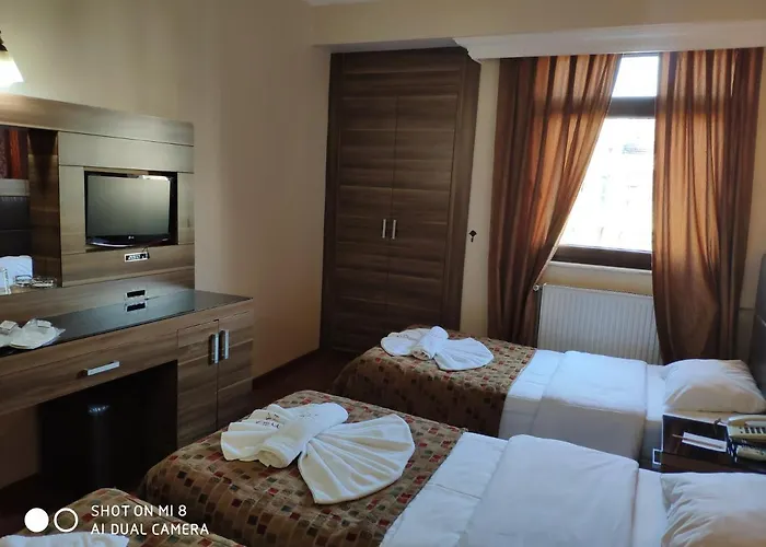 酒店 巴扎酒店 3*